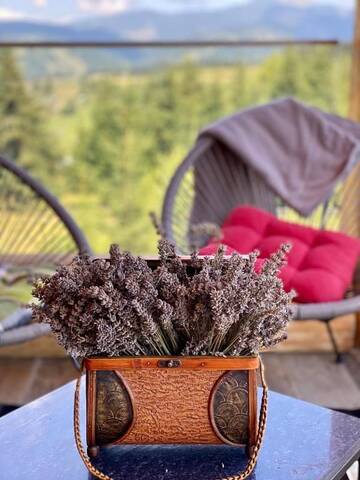 Фото номера Шале Шале CABANA CEITREI - MOUNTAIN VIEW GIUMALAU г. Cozăneşti 71