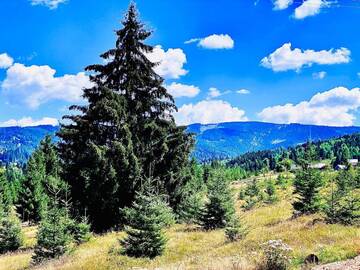 Фото номера Шале Шале CABANA CEITREI - MOUNTAIN VIEW GIUMALAU г. Cozăneşti 8
